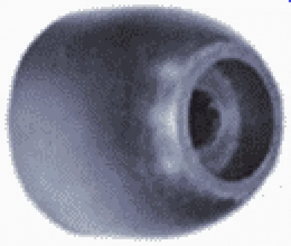 2026_06_24_1963884